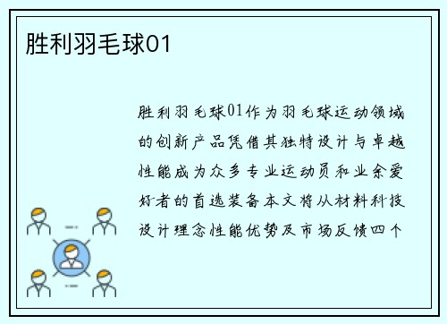 胜利羽毛球01